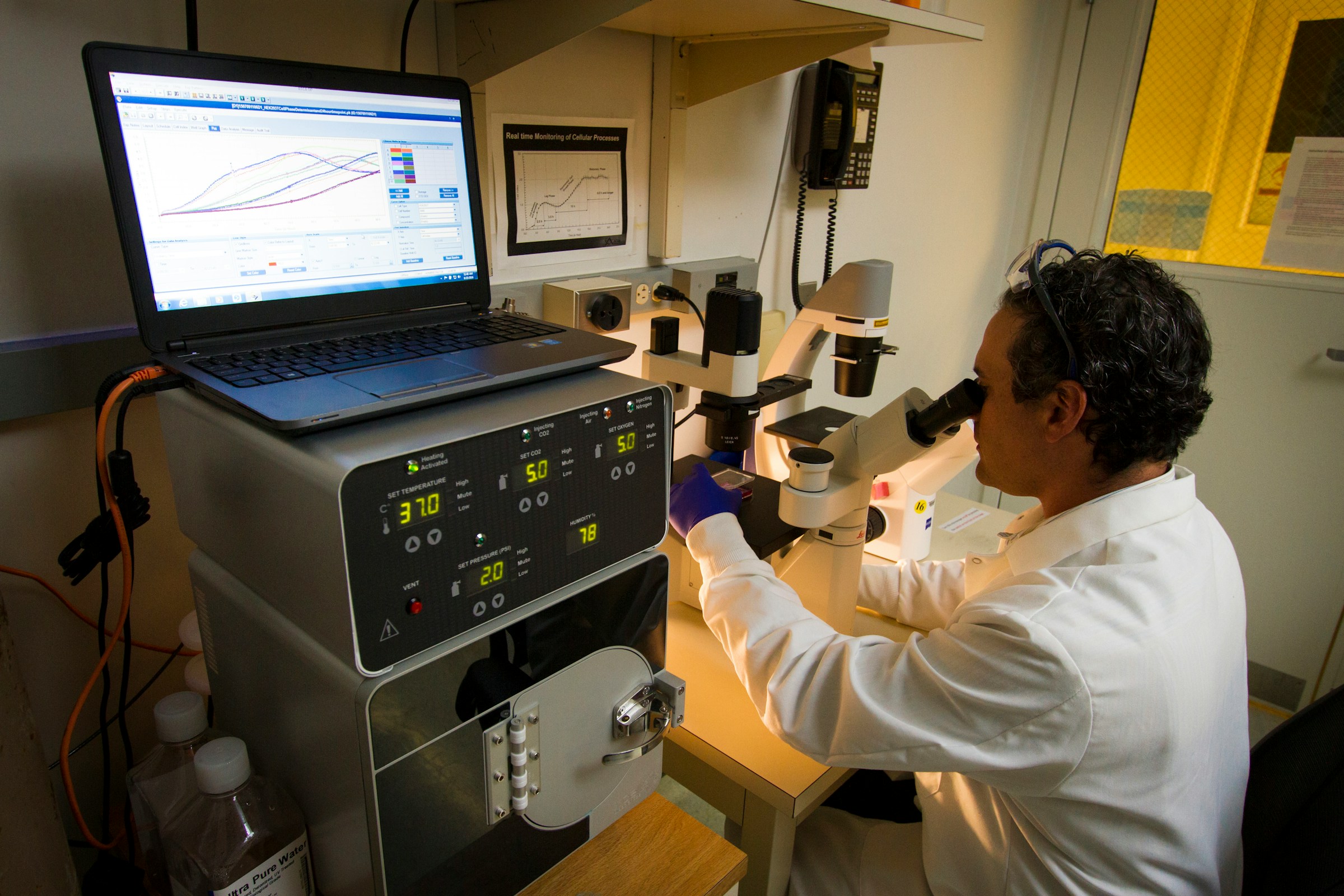 Microcap Biotech Stocks: Catalysts and Dilution Math